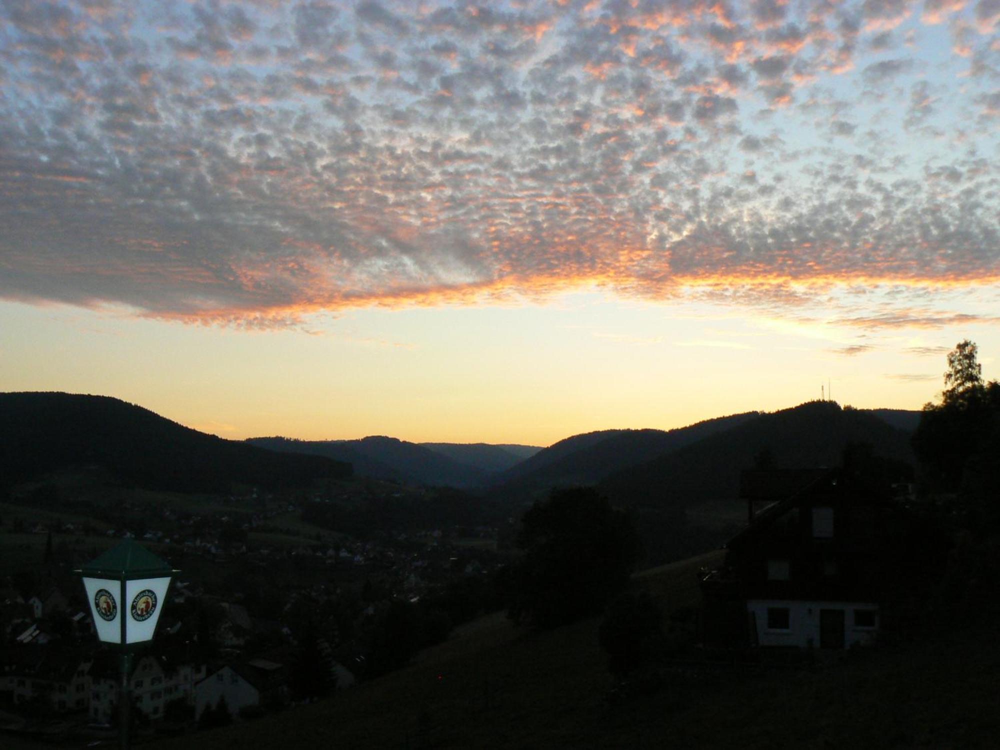 Pension Talblick Baiersbronn Exterior photo