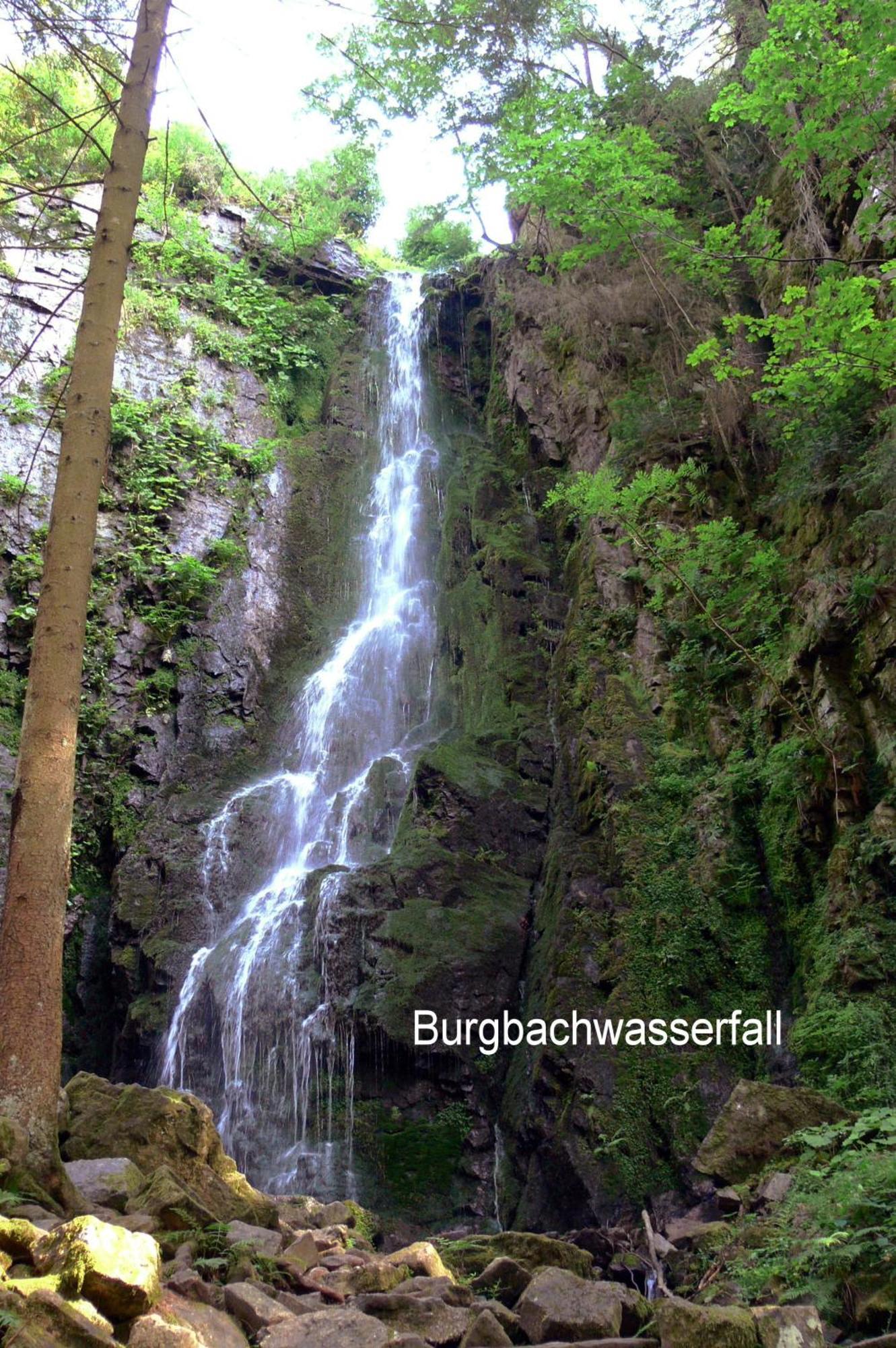 Pension Talblick Baiersbronn Exterior photo