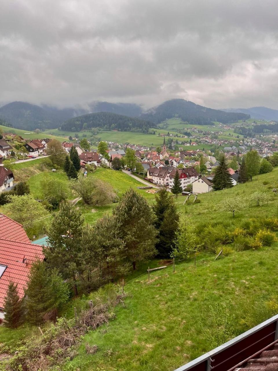 Pension Talblick Baiersbronn Exterior photo