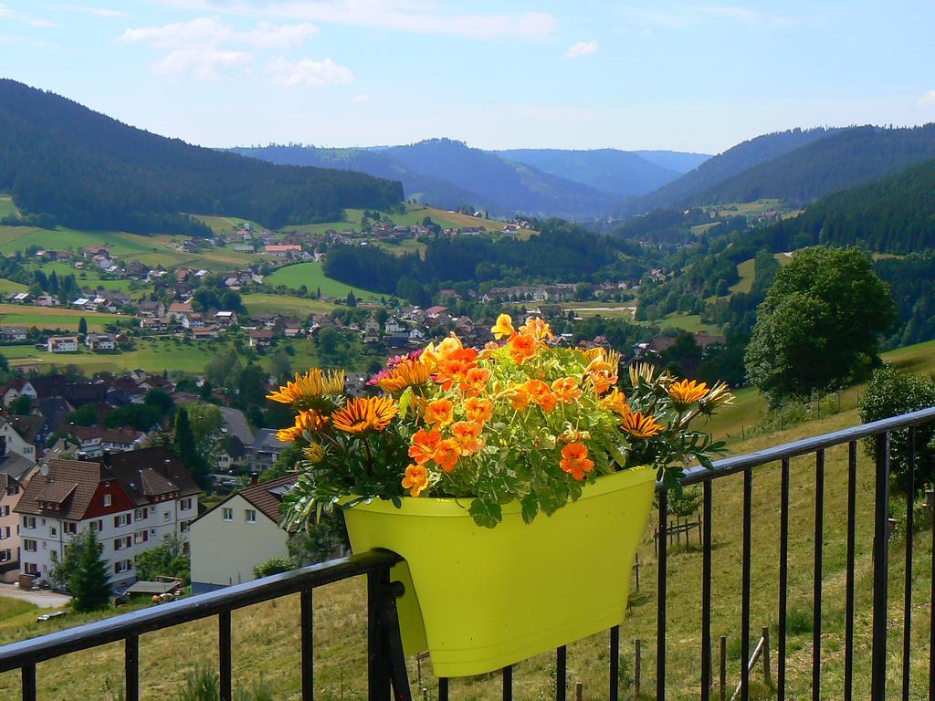 Pension Talblick Baiersbronn Exterior photo
